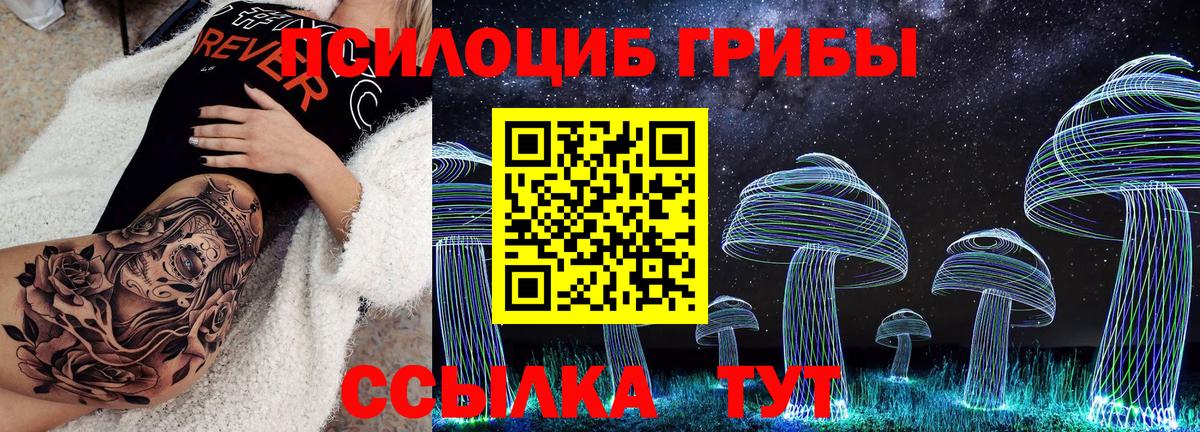 Зеленокумск  Галлюциногенные грибы Cubensis  Вход с VPN  Псилоцибиновые грибы прущие грибы 